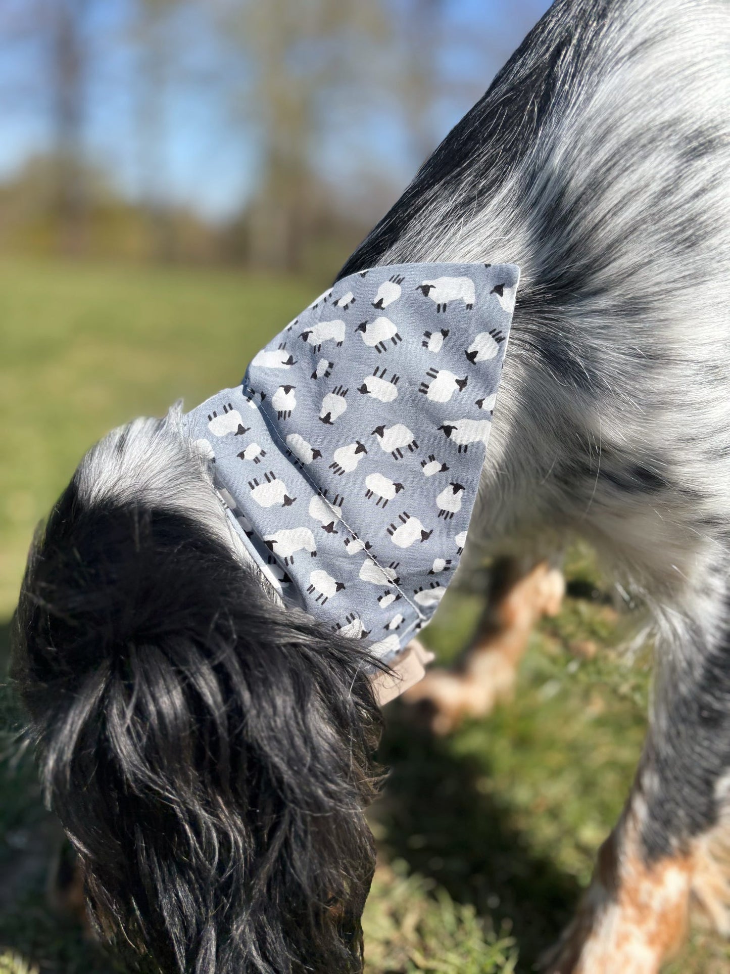 ‘Just For Ewe’ Pet Bandana