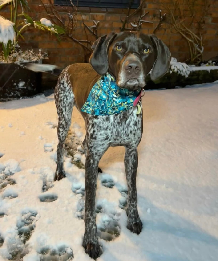 Winter Leaves Pet Bandana