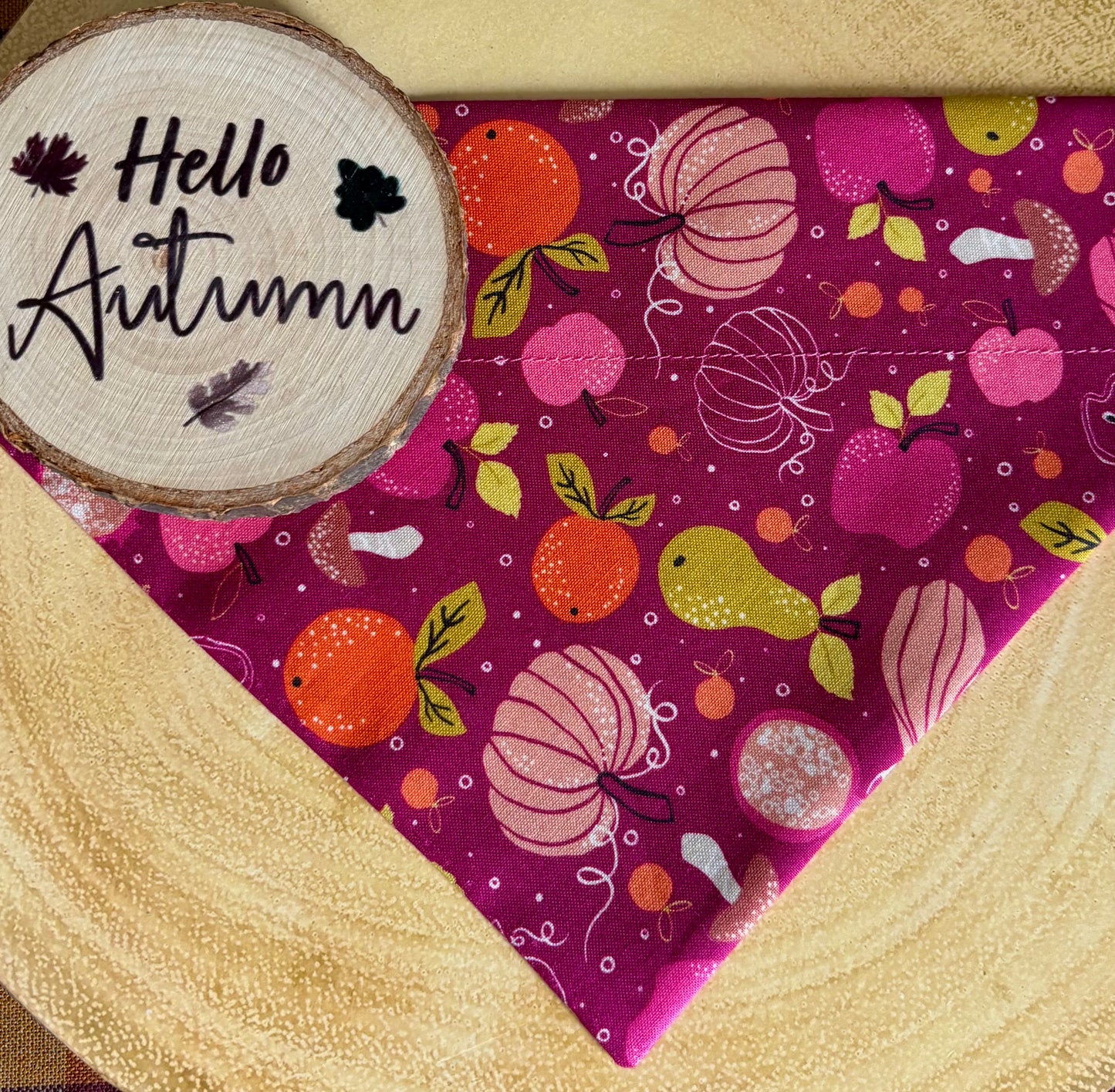 Pumpkin Harvest Dog Bandana / Cat Bandana