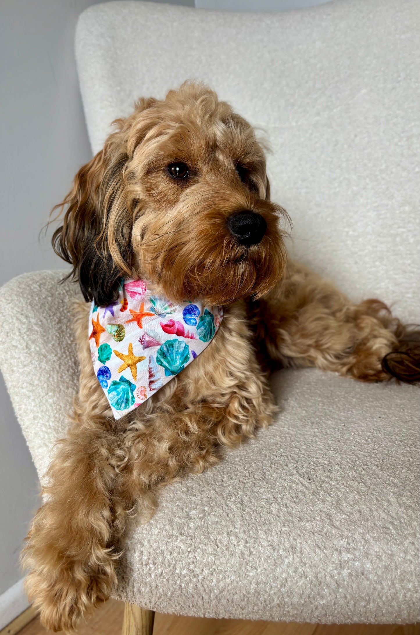 Seashell Dog Bandana / Cat Bandana