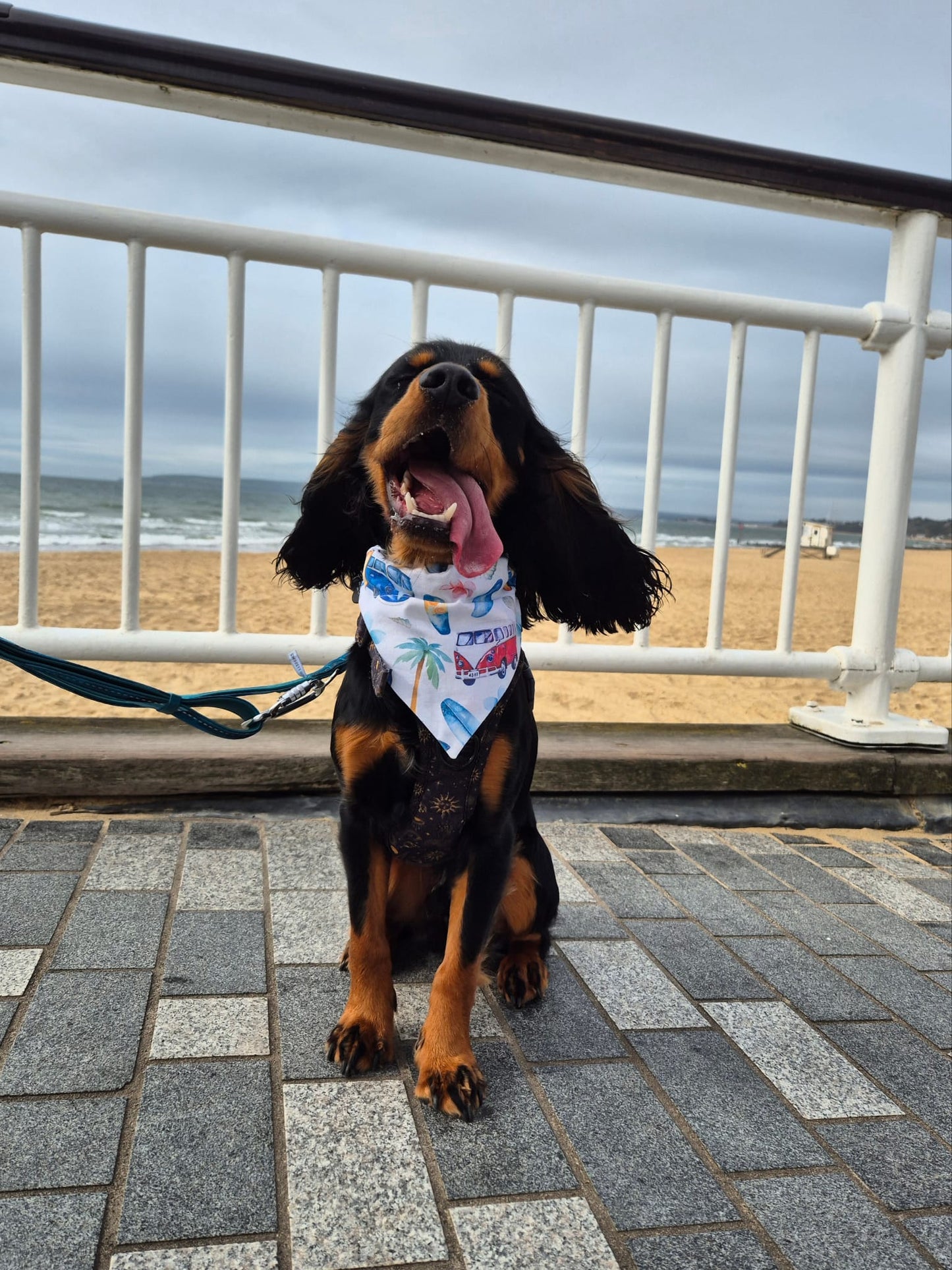 ‘Adventure Ready’ Pet Bandana