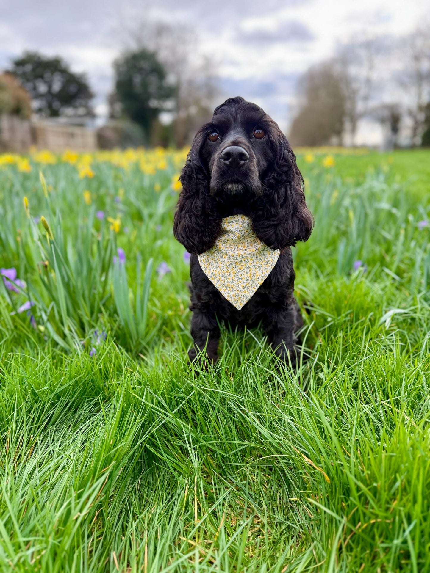 ‘Spring Flowers’ Pet Bandana