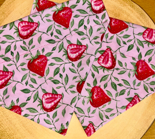 Strawberry Season Dog Bandana / Cat Bandana