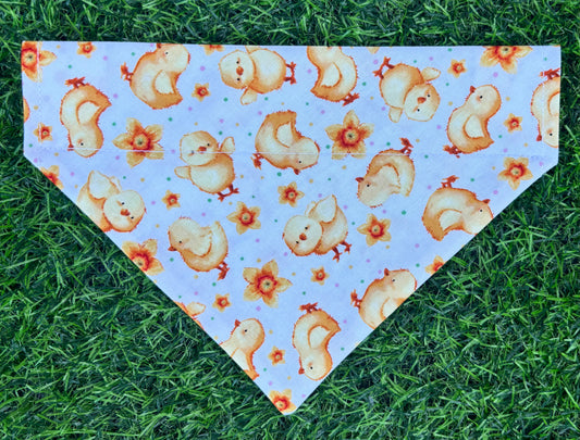 ‘Spring Chicks’ Pet Bandana