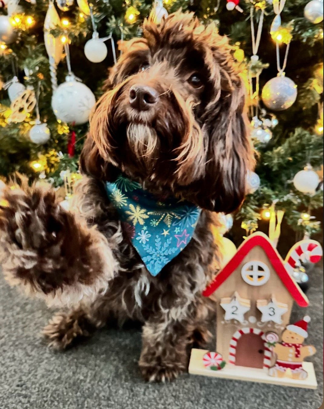 ‘Best In Snow’ Pet Bandana