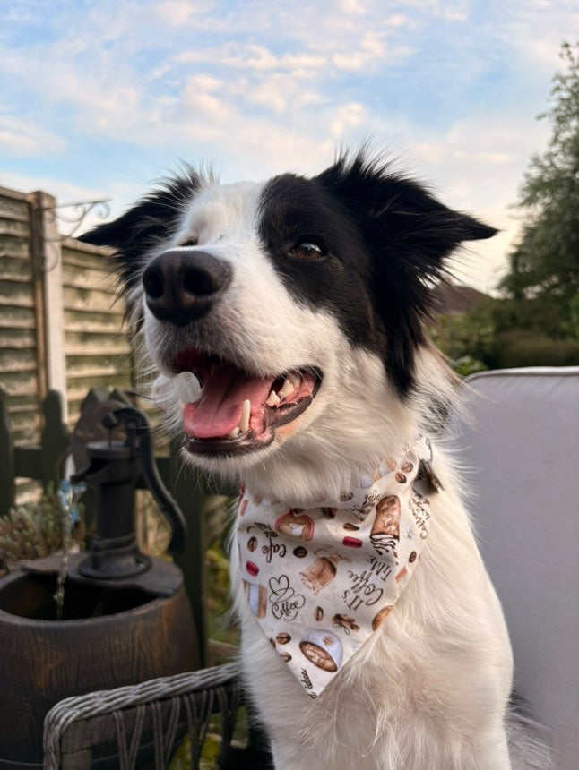 ‘Espresso Yourself’ Pet Bandana