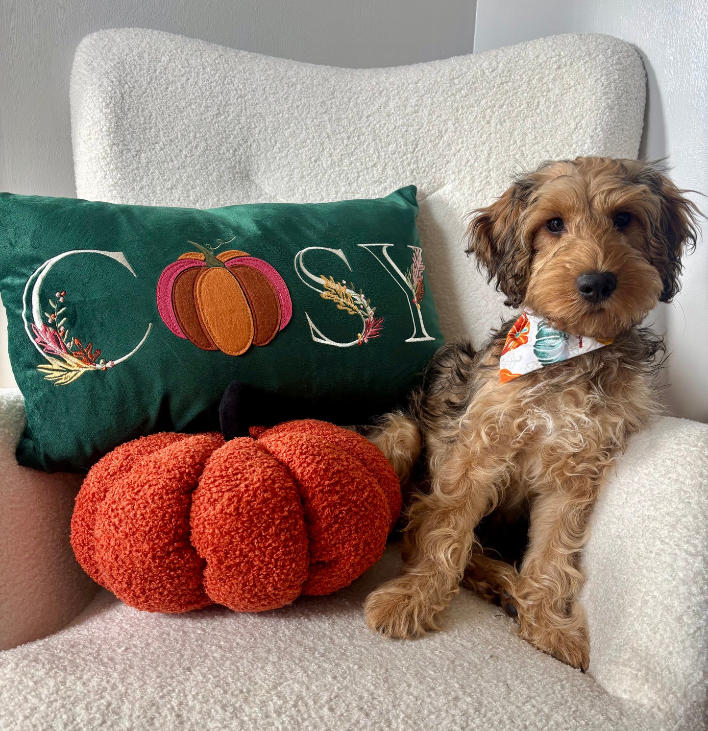 ‘Autumn Pumpkins’ Dog Bandana / Cat Bandana