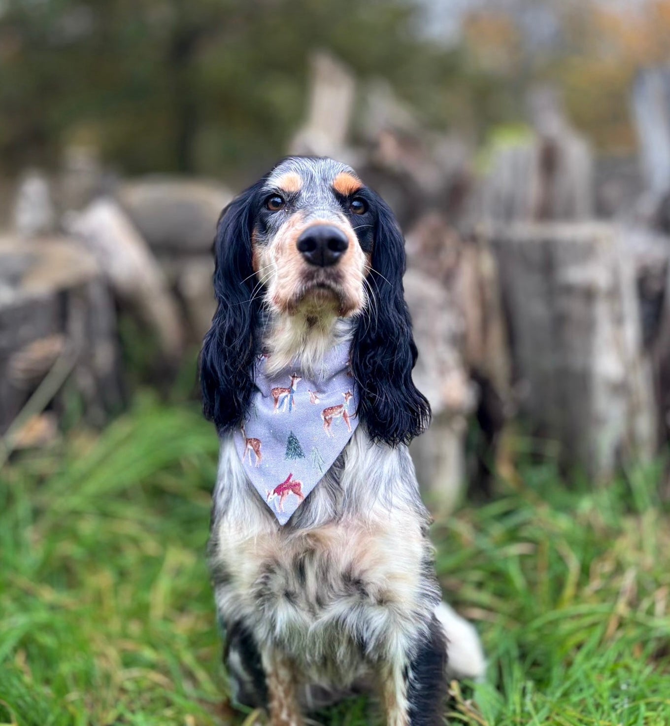Forest Fawn Dog Bandana / Cat Bandana