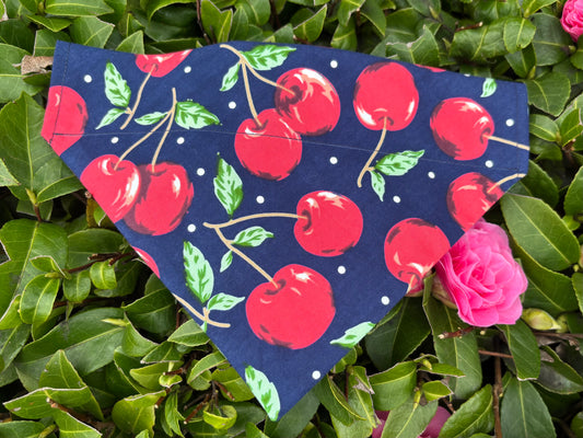 Cherry On Top Dog Bandana / Cat Bandana