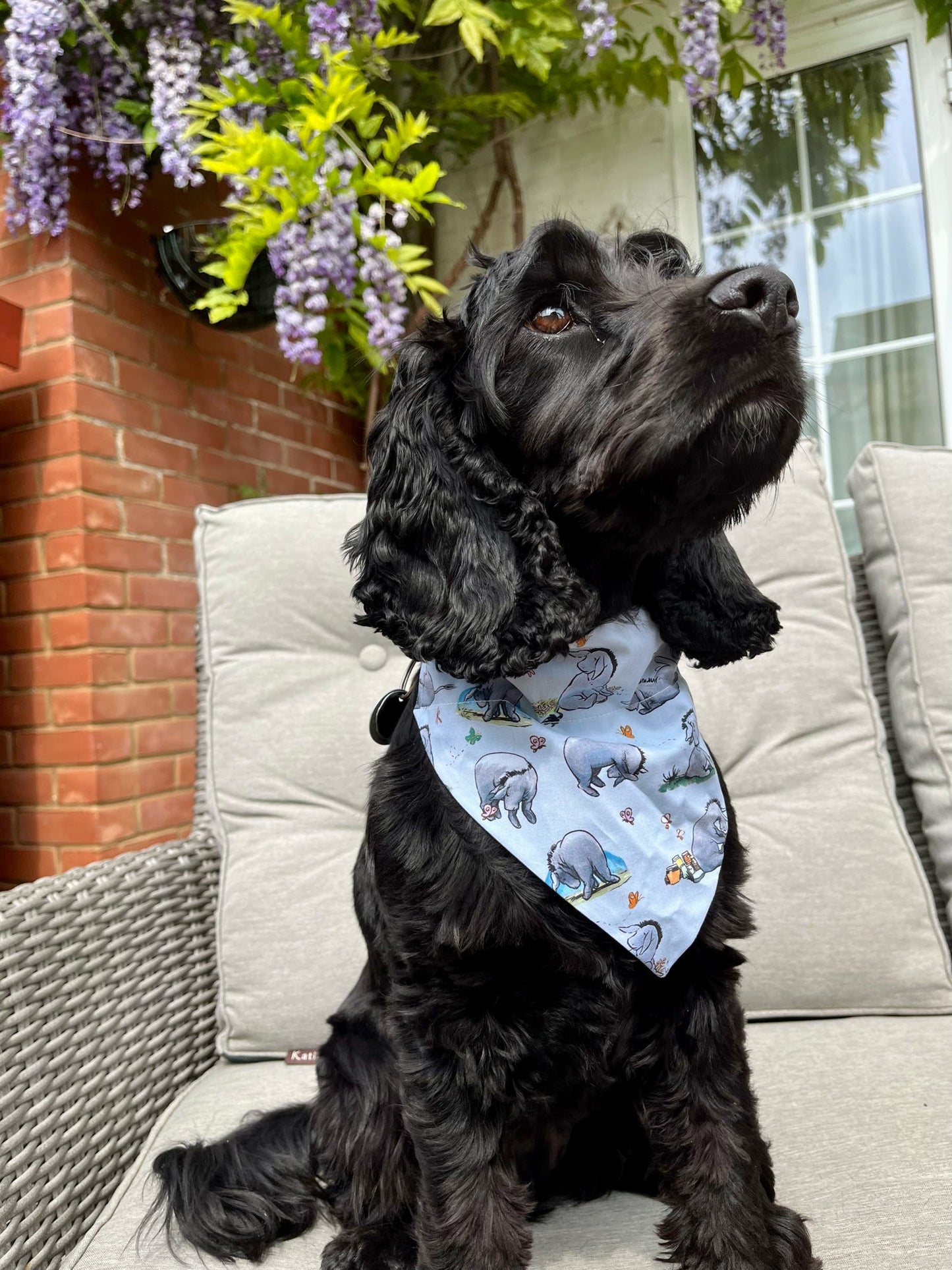 ‘Eeyore’ Pet Bandana