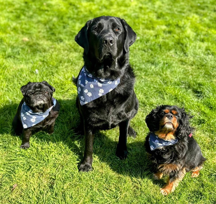 ‘Daisy Chain’ Pet Bandana