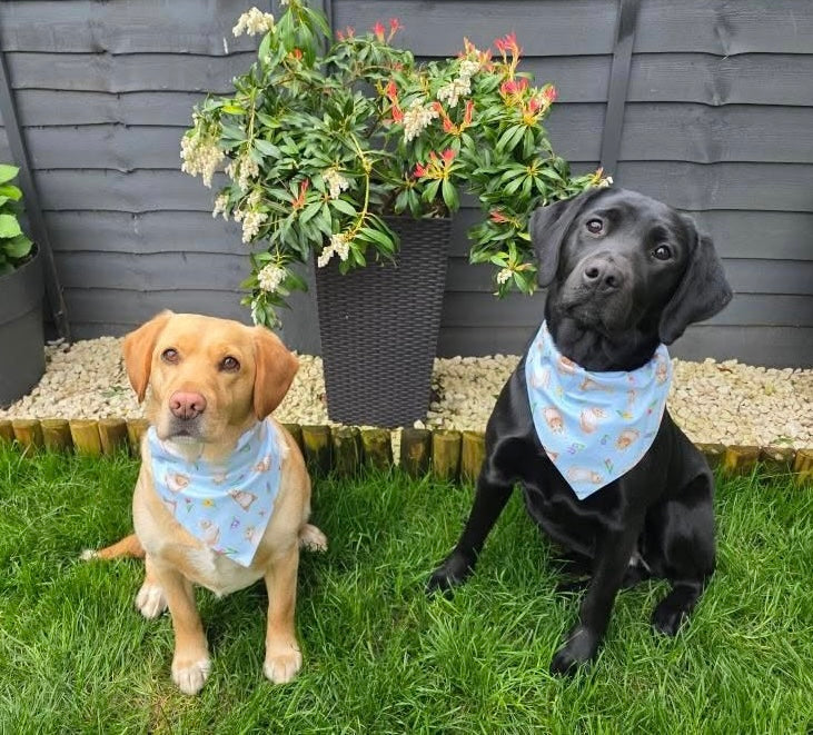 ‘Spring Bunny’ Dog Bandana / Cat Bandana