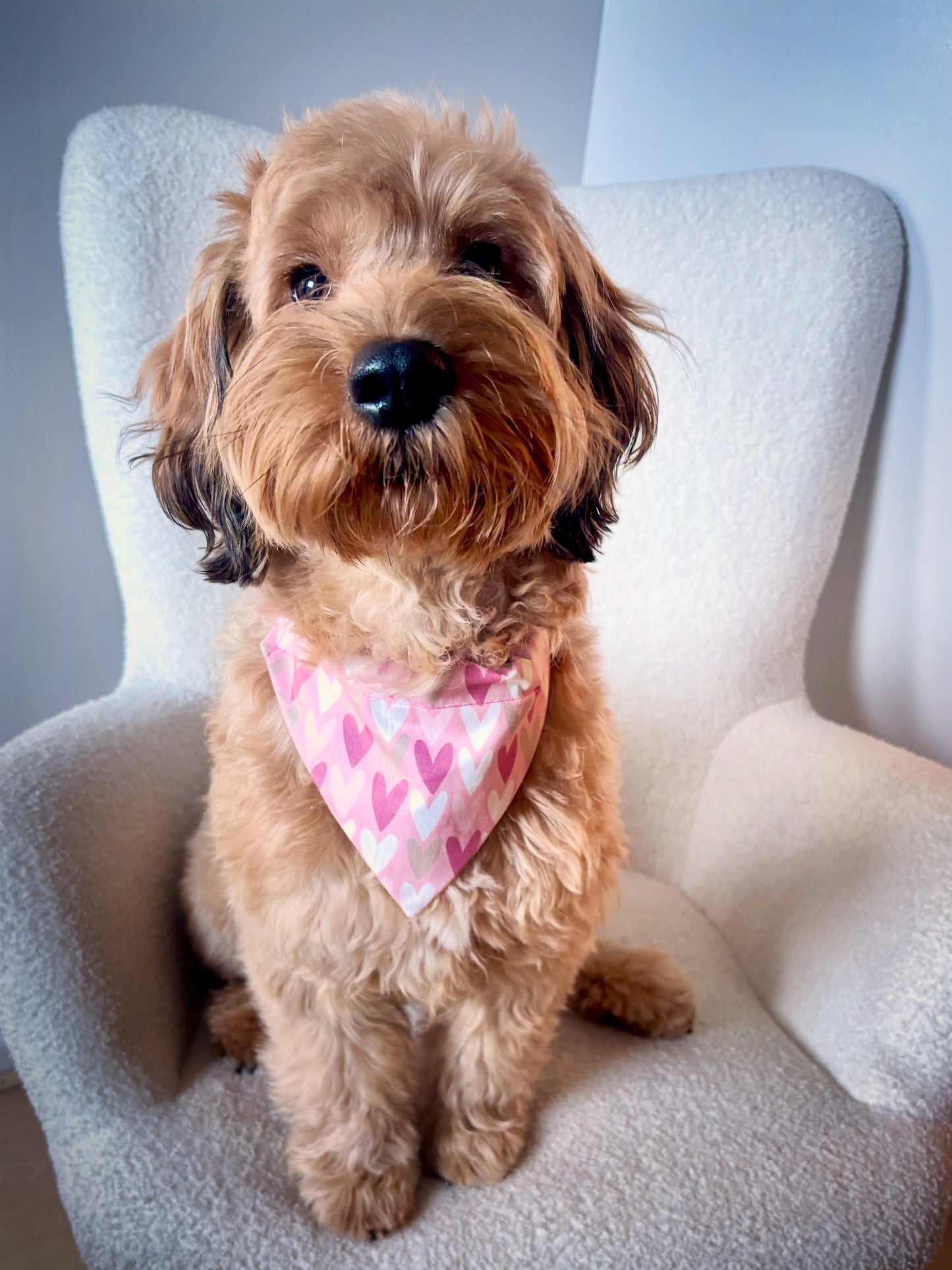 Follow Your Heart (Pink) Dog Bandana / Cat Bandana