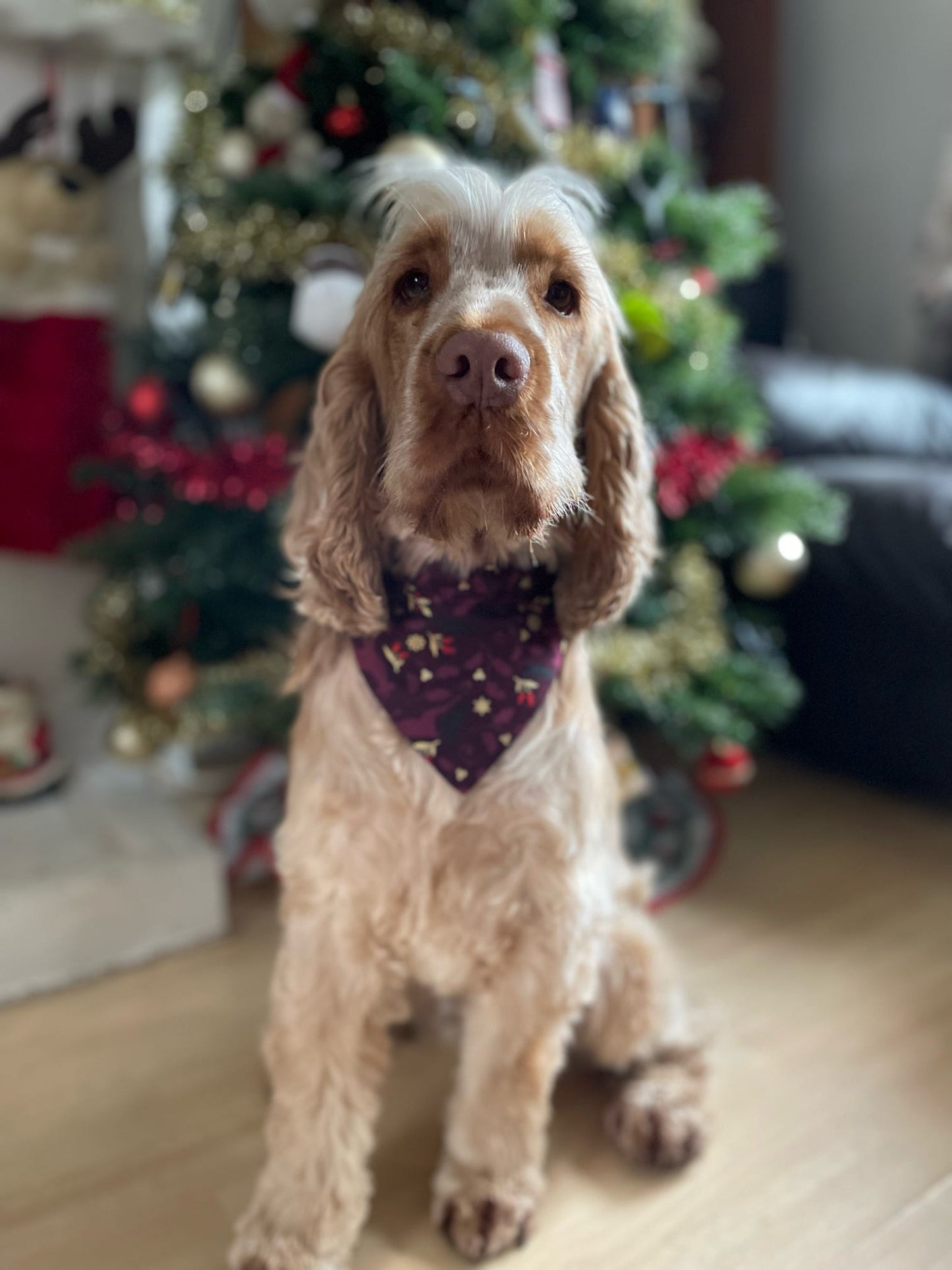 ‘Reindeer Magic’ Pet Bandana