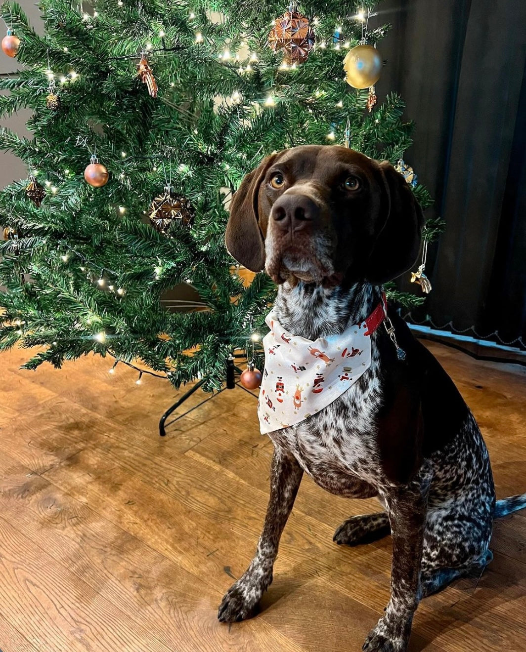 ‘Christmas Crew’ Pet Bandana