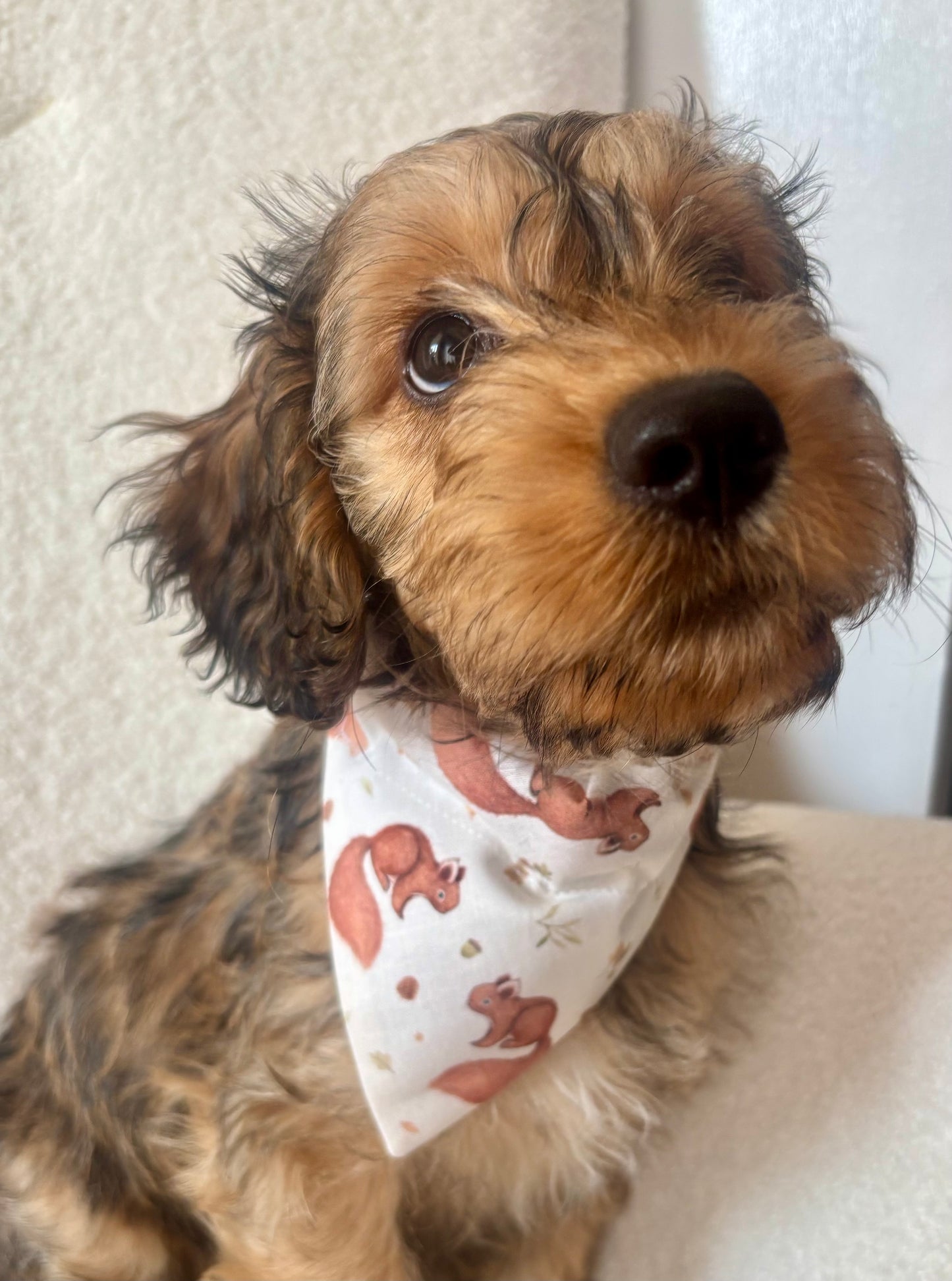 ‘Squirrel Patrol’ Dog Bandana/Cat Bandana