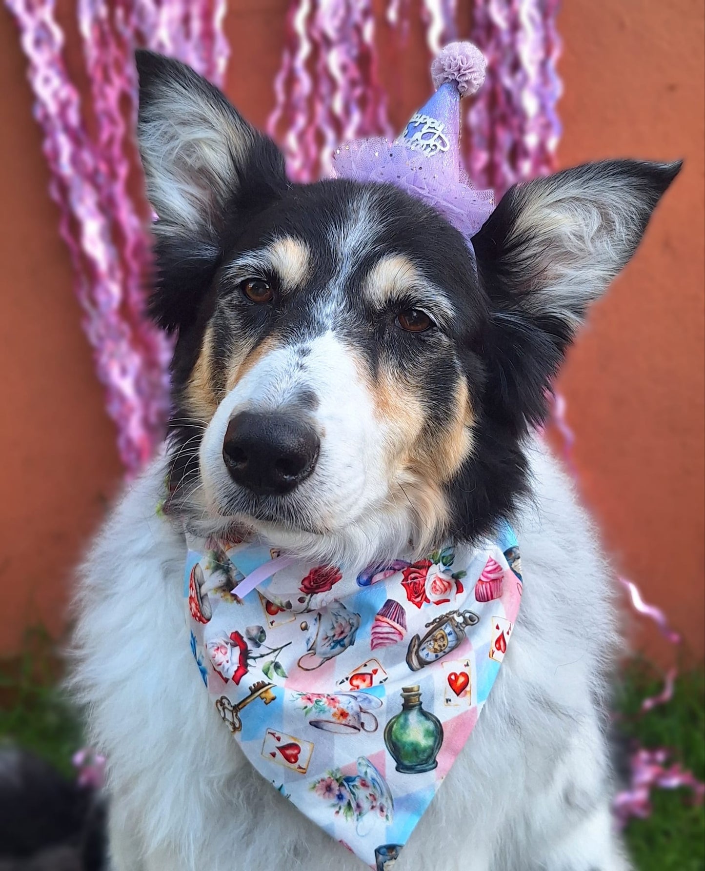 Tea Pawty Dog Bandana / Cat Bandana