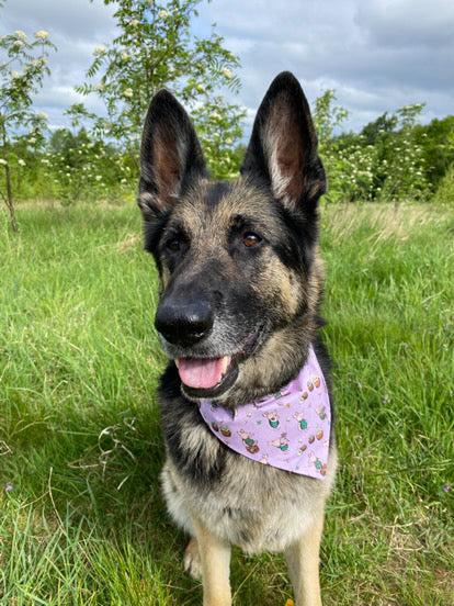 ‘Piglet’ Pet Bandana