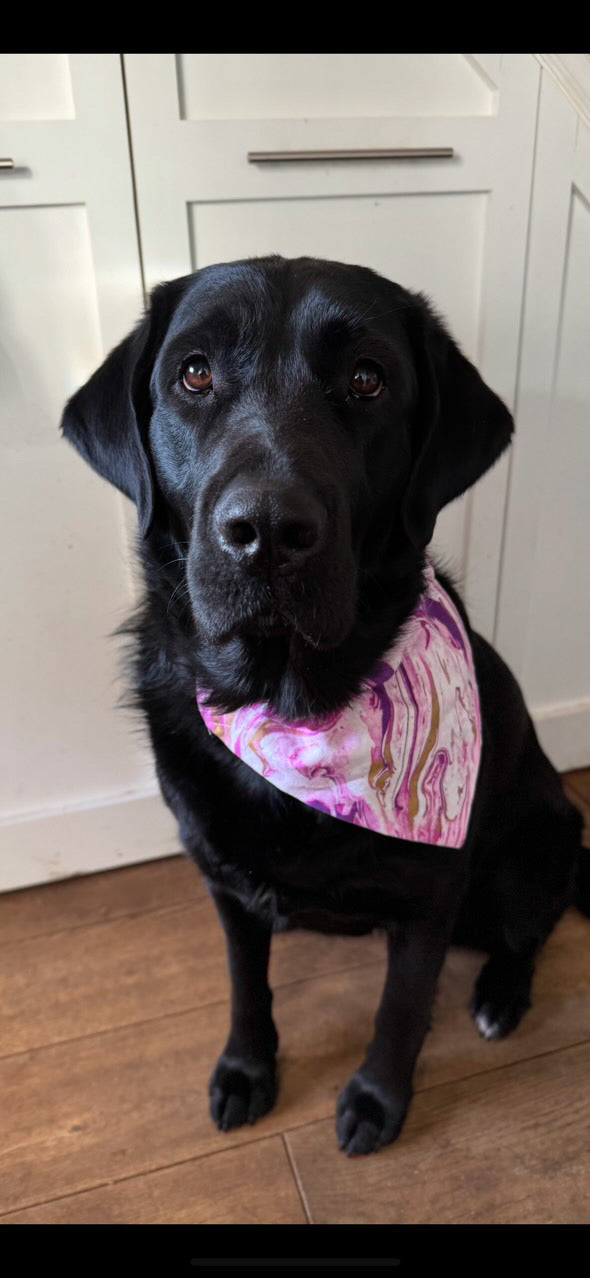 ‘Marbleous’ Pet Bandana