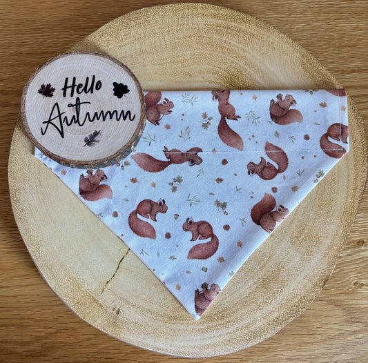 ‘Squirrel Patrol’ Dog Bandana/Cat Bandana