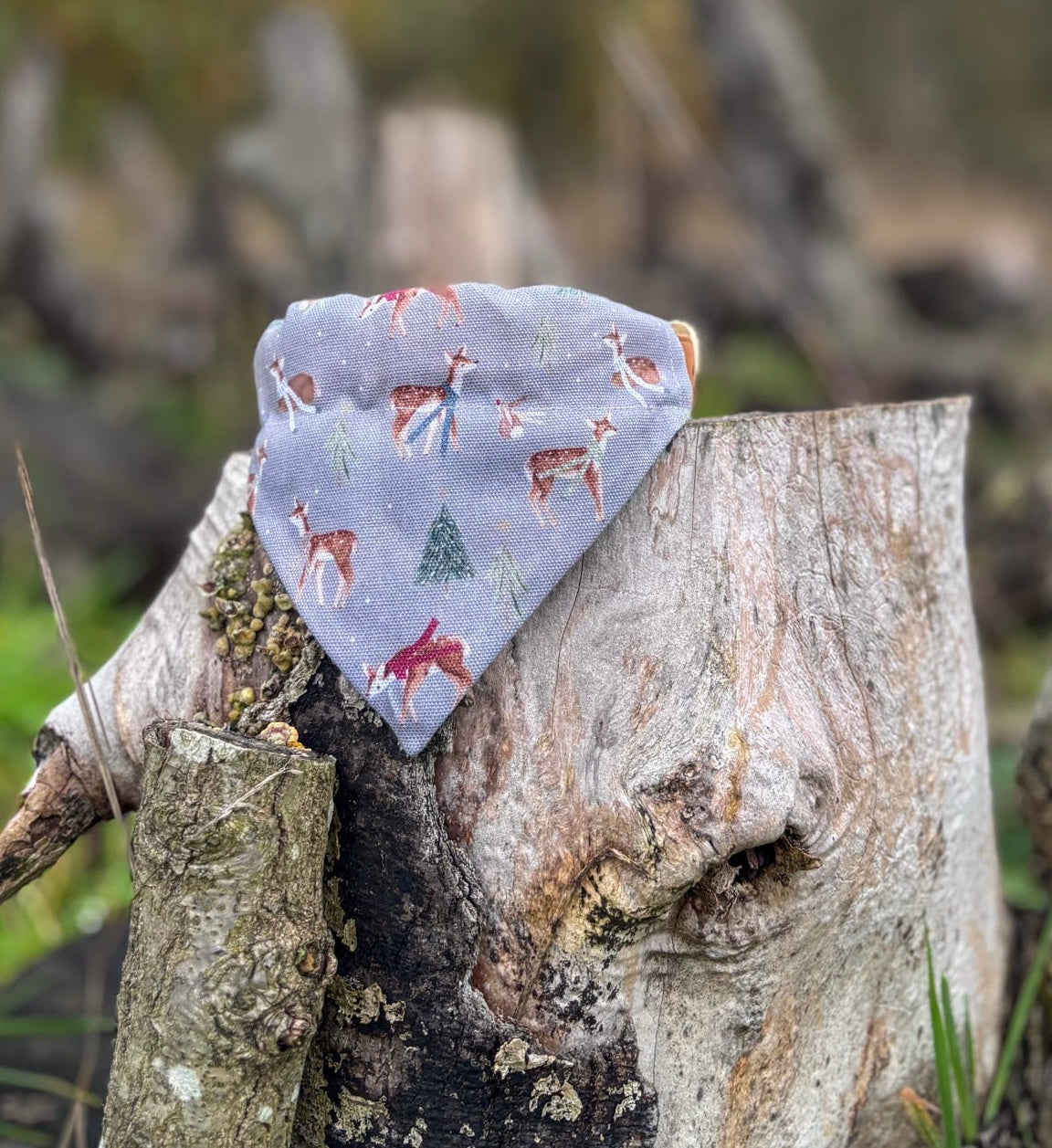 Forest Fawn Dog Bandana / Cat Bandana