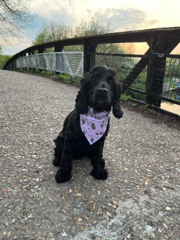 ‘Piglet’ Pet Bandana