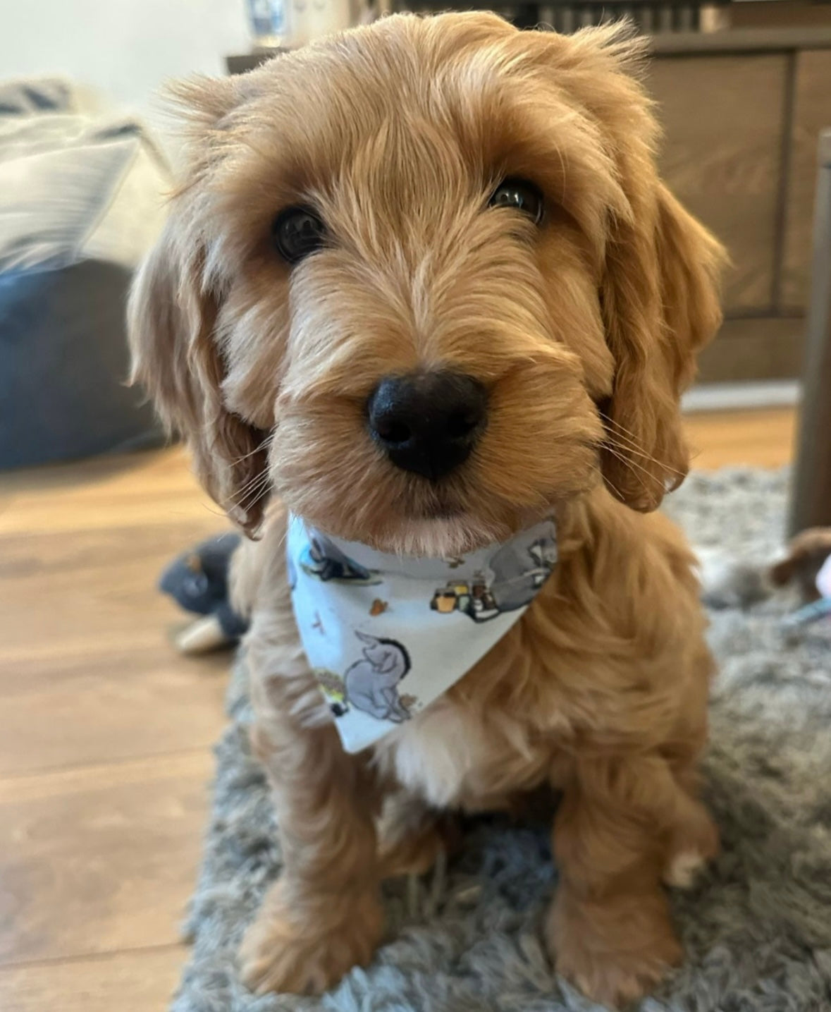 ‘Eeyore’ Pet Bandana