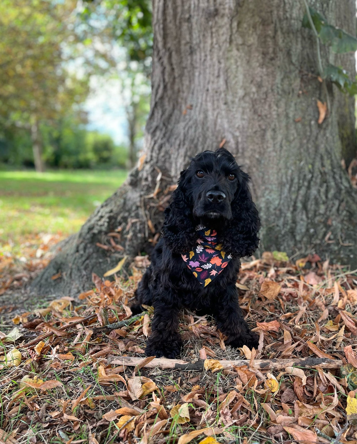 Fallen Leaves Dog Bandana / Cat Bandana