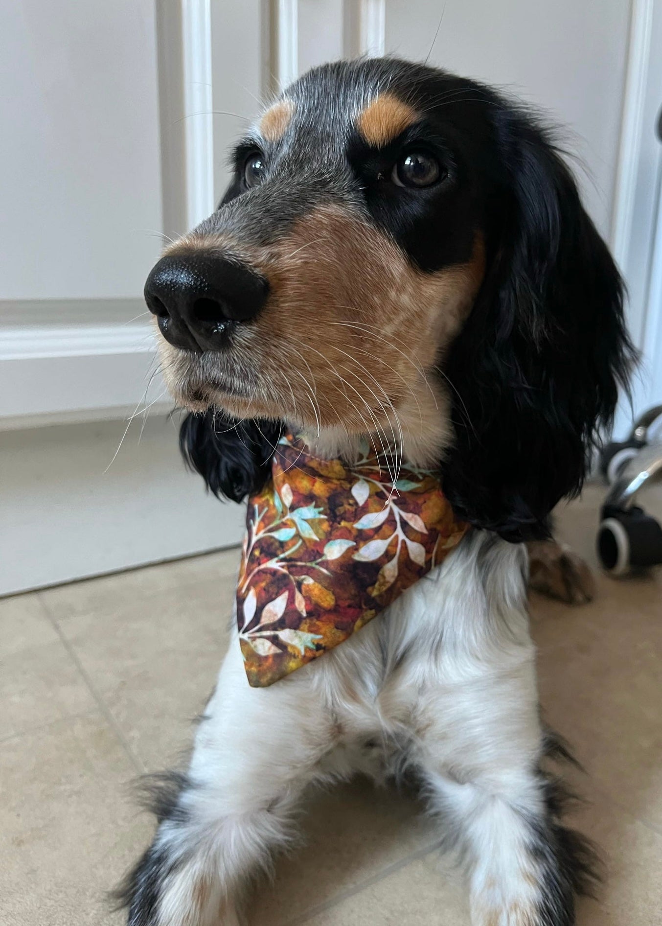 ‘Autumn Leaves’ Pet Bandana