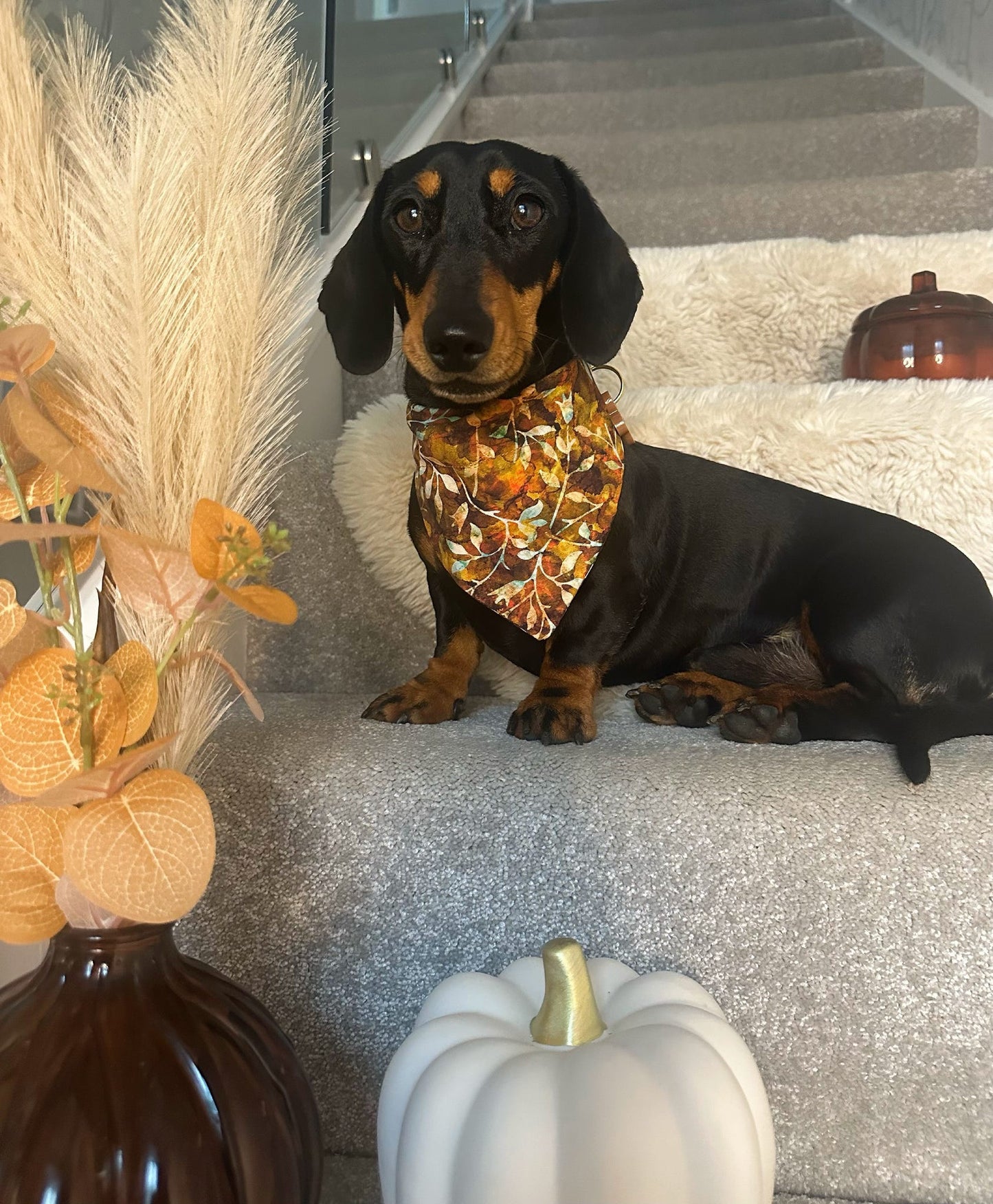 ‘Autumn Leaves’ Pet Bandana