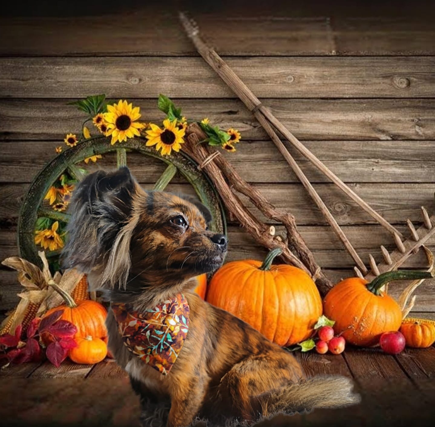 ‘Autumn Leaves’ Pet Bandana