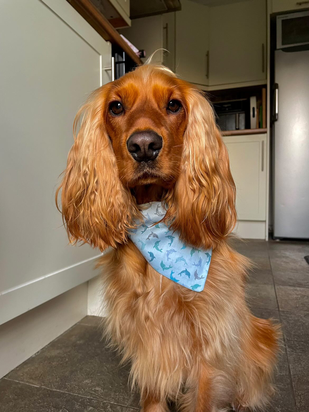 ‘Flippin’ Fantastic’ Pet Bandana