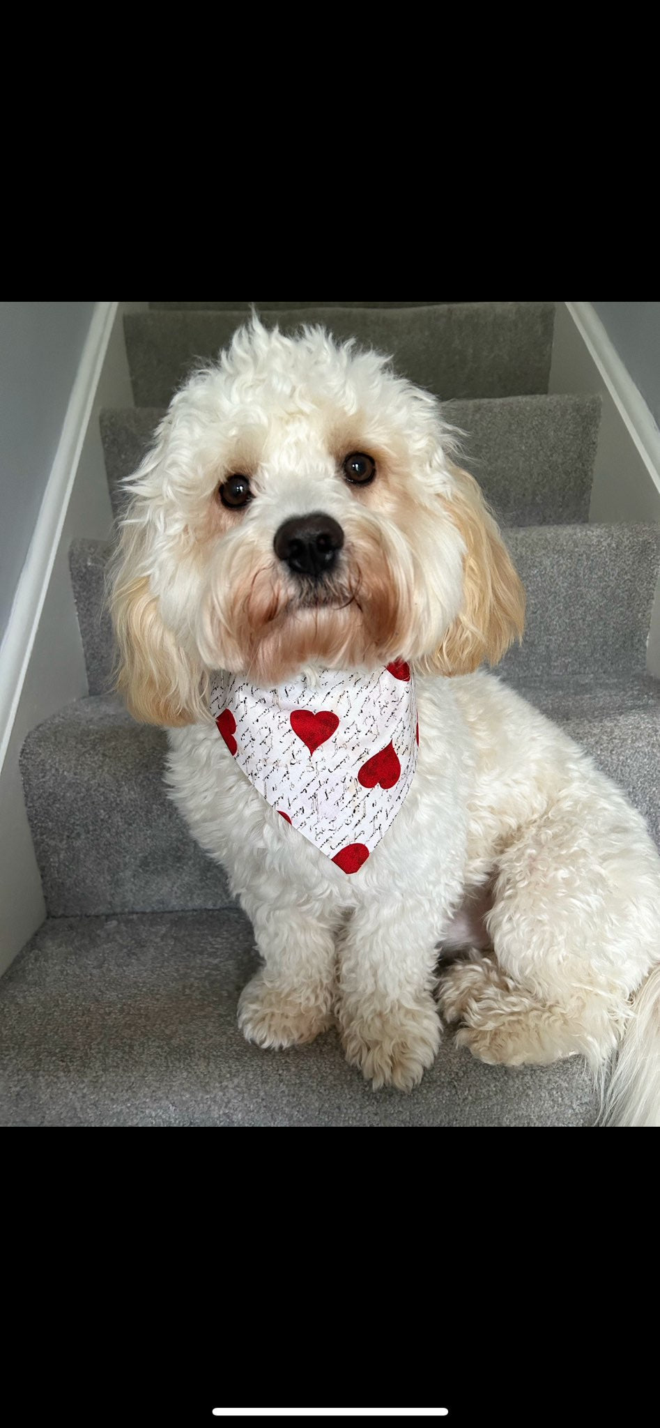 ‘Woof You’ Pet Bandana