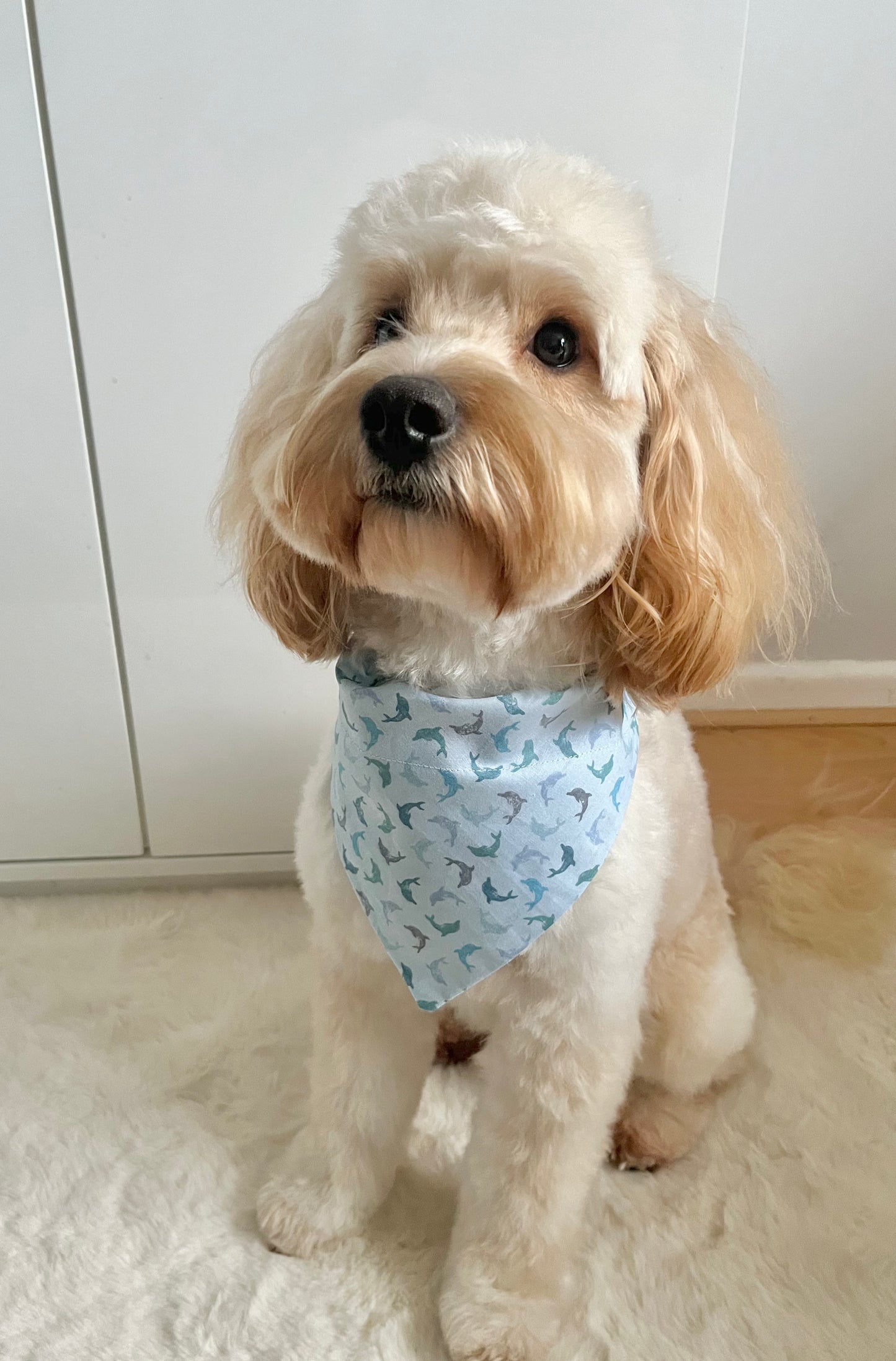 ‘Flippin’ Fantastic’ Pet Bandana
